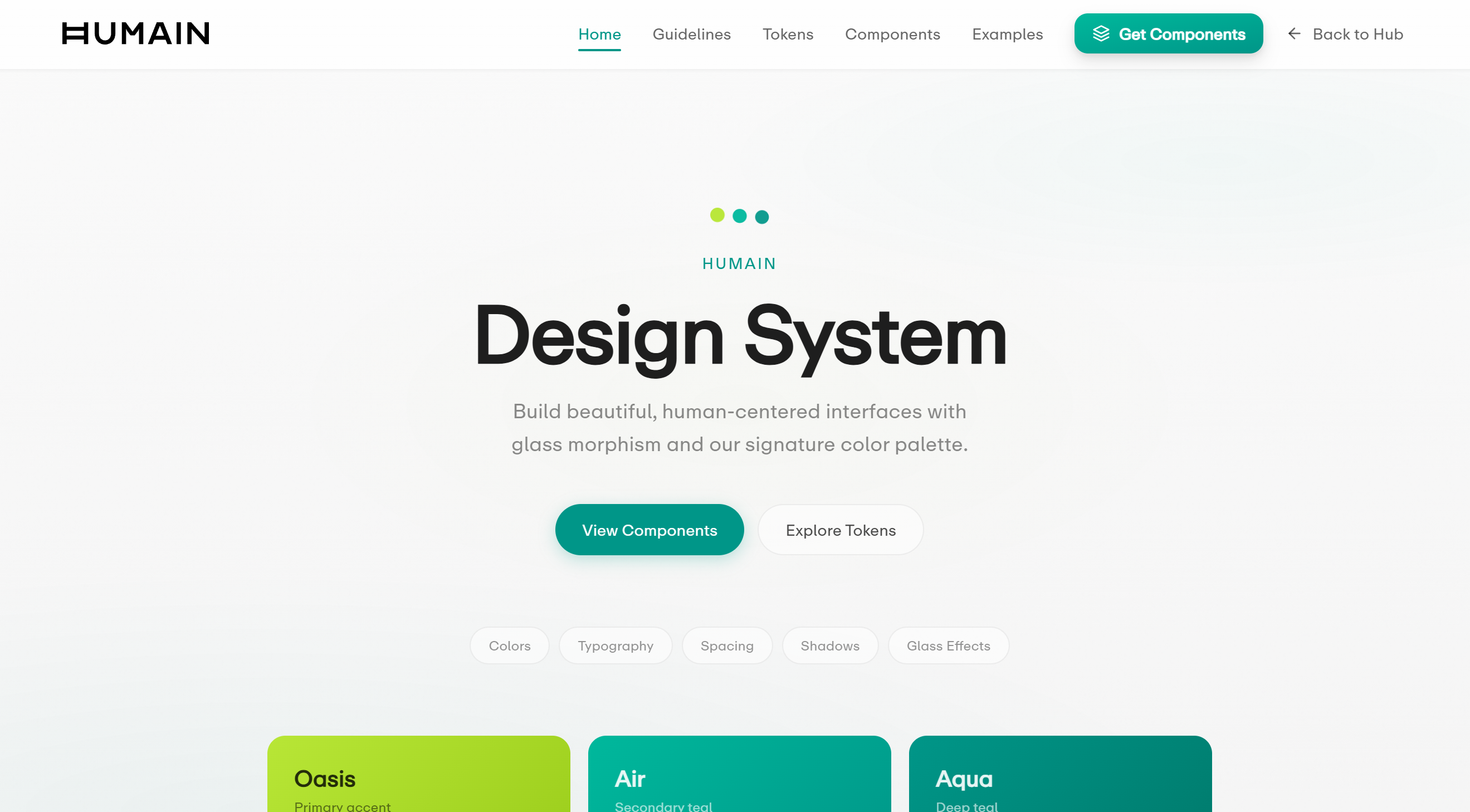 Design System